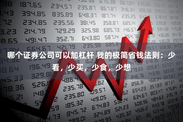 哪个证券公司可以加杠杆 我的极简省钱法则：少看，少买，少食，少想